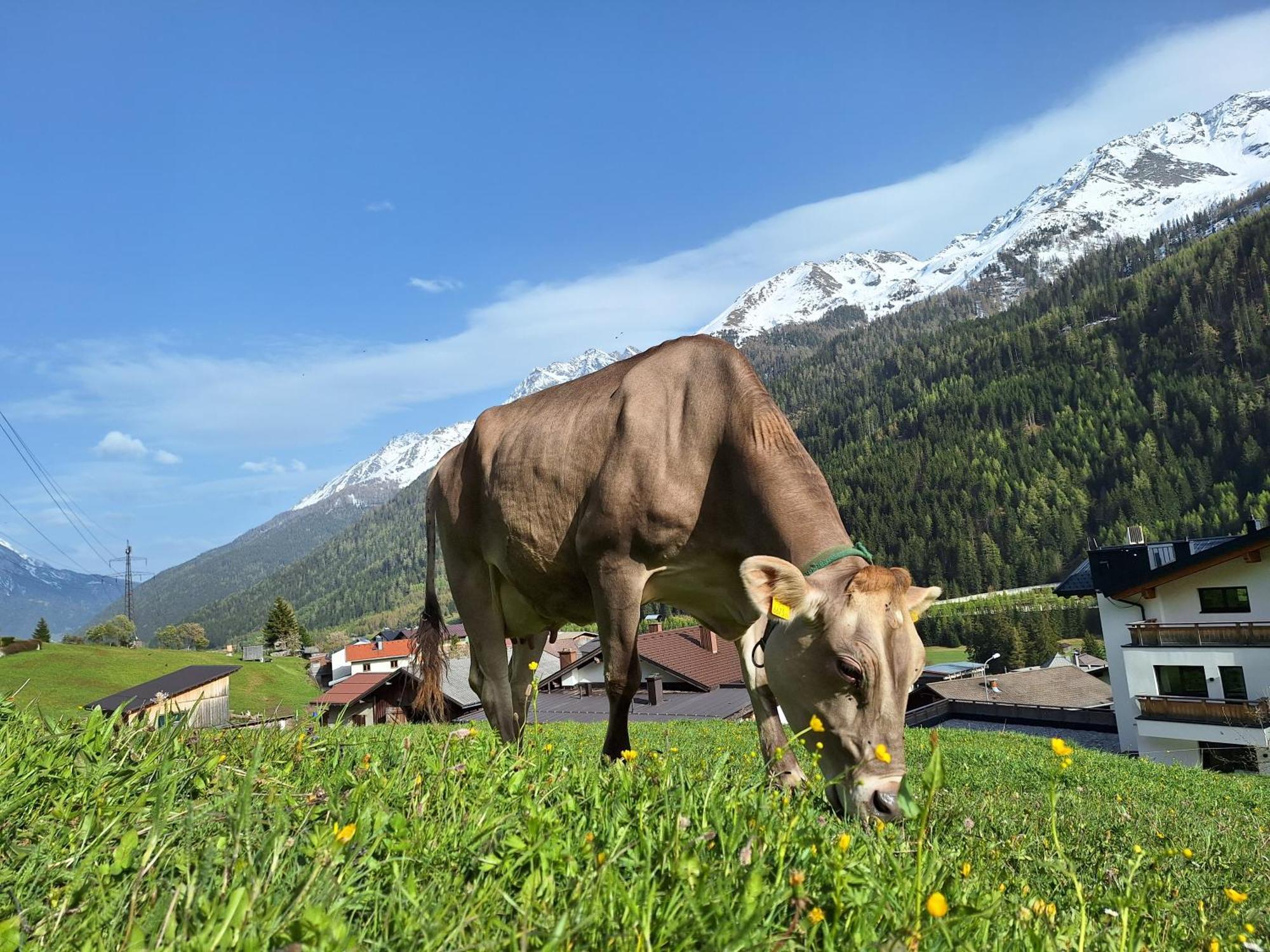 Gsoerhof Lejlighed St Anton am Arlberg Eksteriør billede